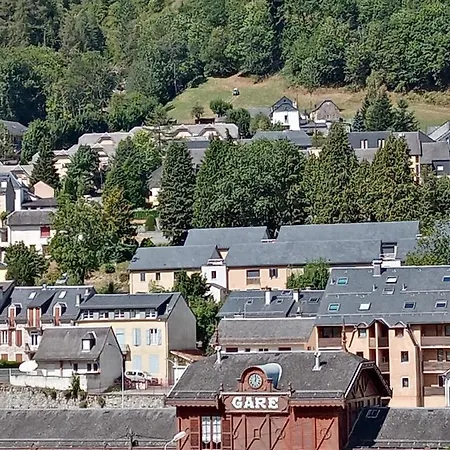 Bruyère